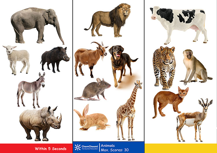 ChemshaBongo – Animals (Words)