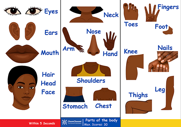 ChemshaBongo – Body Parts Words